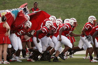 开云平台-球迷助威声点燃比赛氛围，球迷助威口号